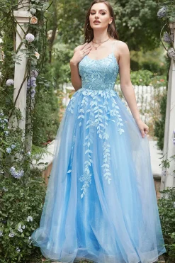 Blue Tulle A Line Prom Dress with Appliques