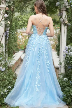 Blue Tulle A Line Prom Dress with Appliques