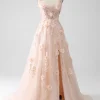Blush A-Line Spaghetti Straps Long Prom Dress with Appliques