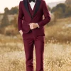 Burgundy Men's 3 Pieces Peak Lapel One Button Prom Suits