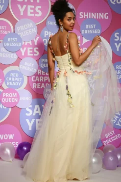 Champagne A Line Tulle Princess Prom Dress with Appliques