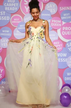 Champagne A Line Tulle Princess Prom Dress with Appliques