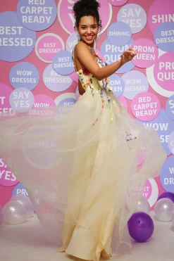 Champagne A Line Tulle Princess Prom Dress with Appliques