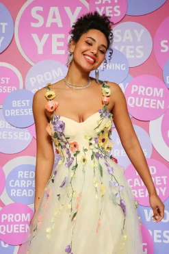 Champagne A Line Tulle Princess Prom Dress with Appliques