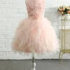 Light Pink Sleeveless Flower Girl Dress