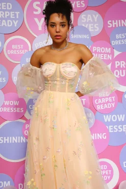 Off The Shoulder Princess Prom Dress with Embroidery