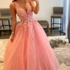 Princess A Line Deep V Neck Blush Long Prom Dress with Appliques
